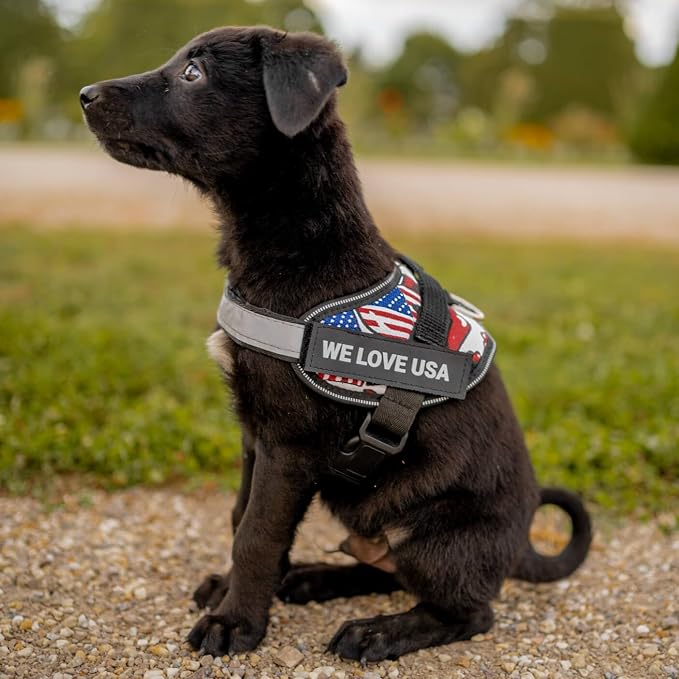Personalized Dog Harness with Custom Name Patches, Adjustable Reflective No Choke Dog Vest with Handle for Medium Sized Dog, Red, M