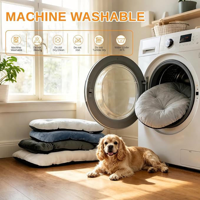 Washable Oval Medium Dog Bed, Silver-Tipped High-Resilience, Light Gray | Non-Slip Bottom Prevents Sliding, Soft Plush Short Fur, Machine Washable, Ideal for Crates/Apartments/Cozy Nooks,29"x18"x2.8"