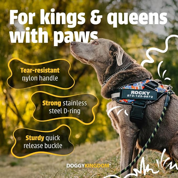 Personalized Dog Harness with Custom Name Patches, Adjustable Reflective No Choke Dog Vest with Handle for Medium Sized Dog, Red, M