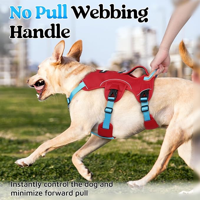 rabbitgoo Escape Proof Dog Harness for Large, No Pull with Lift Handle | No Escape, Full Soft Padded, Reflective Adjustable Vest, Leash Clip for Walking Hiking Training, Sky Blue & Red, Large
