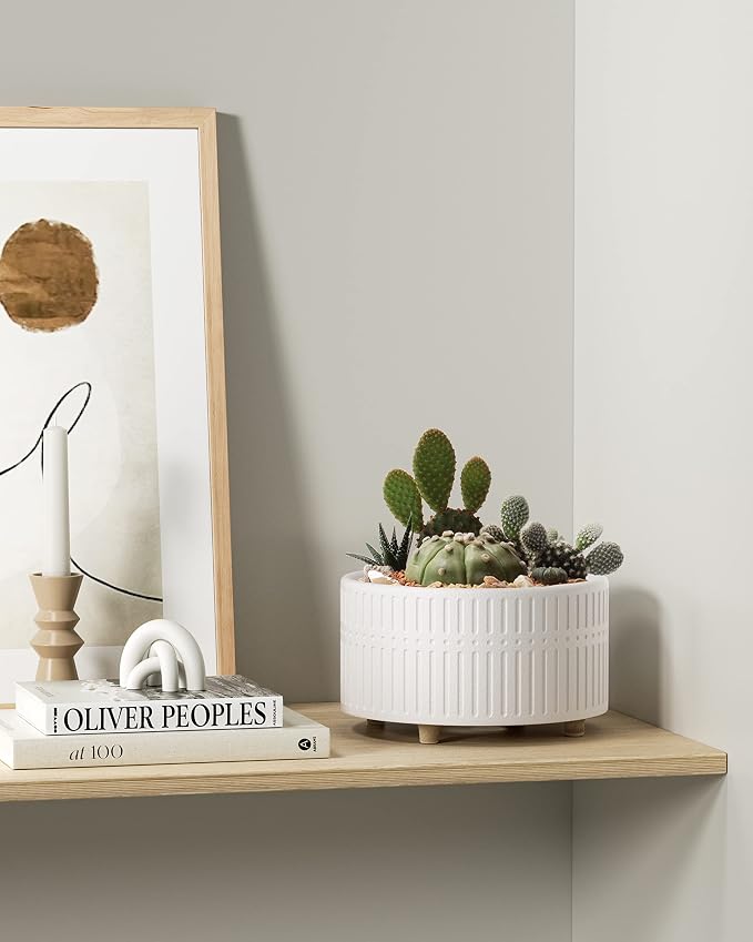 LE TAUCI Succulent Pots, 6.5+8 Inch Ceramic Indoor Plant Pot with Drainage Hole, Shallow Round Succulent Planters, Set of 2, Matte White