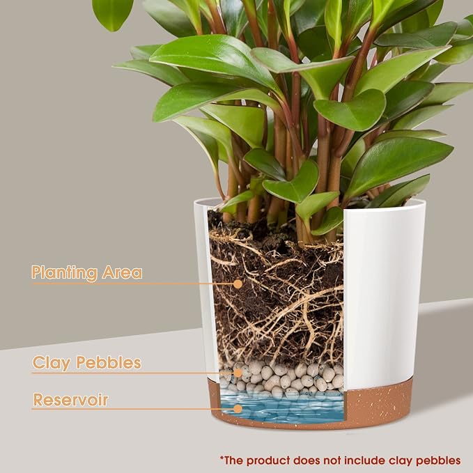 kubvici 2 Pack 8 Inch Planters for Indoor Plants, Plastic Flower Pots Plant Pots Indoor with Drainage Saucer for Outdoor Garden Home Plant, White 8”