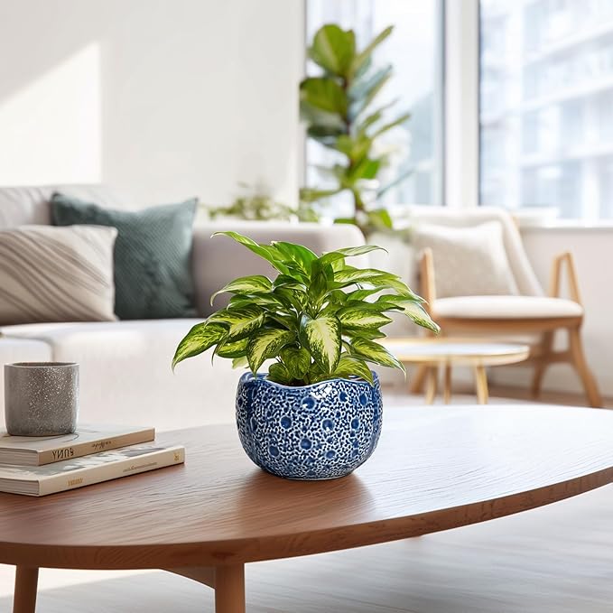 Orchid Pot - 6 Inch Ceramic Plant Pot for Indoor Outdoor, Round Unique Planters with Drainage Hole, Modern Round Decorative Flower Pots, Home Decor, Gifts for Plant Lovers, Blue