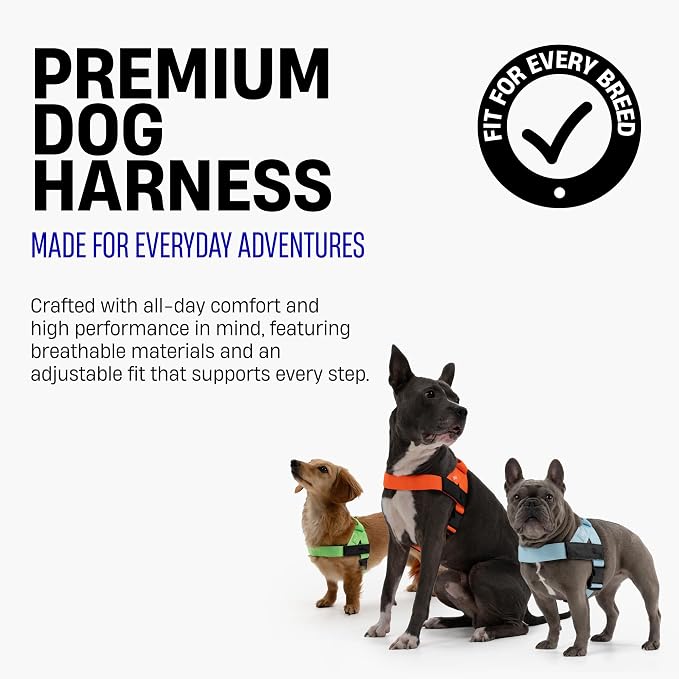 Dog Friendly Co. Dog Harness for Medium Sized Dogs (Grey Camo, Medium) | One Click Buckle, Chafe Resistant Webbing, Adjustable Neck & Chest, and Heavy Duty D-Ring, Sturdy Comfortable and Easy to Use