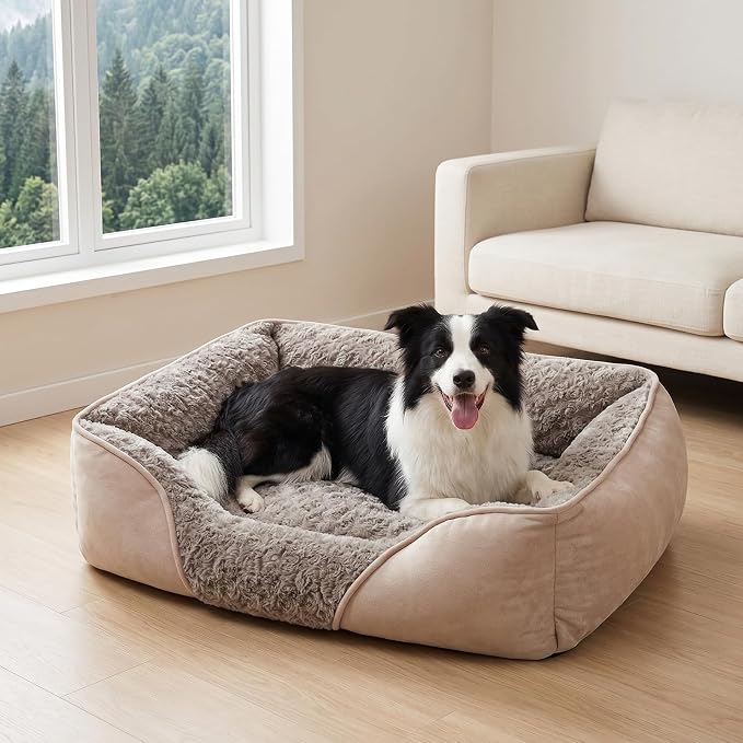 Small Dog Bed for Medium to Large Dogs - Rectangle, Orthopedic, Soft, Calming, Durable Pet Cuddler with Anti-Slip Bottom (20"x19"x6")