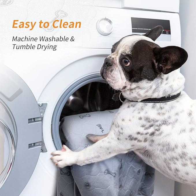 2Pack Puppy Pads Washable, 48x48 Reusable Pee Pads for Dogs, Absorbent Whelping Pads Waterproof Dog Rug Non-Slip Protector for Housbreaking,Potty Training,Bed Couch Carpet | Reusable, Non-Slip Whelping Pads, Waterproof Dog Rug for Housbreaking,Potty Tr...