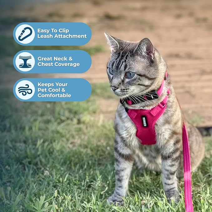 Voyager Step-in Lock Adjustable Cat Harness w. Cat Leash Combo Set with Neoprene Handle 5ft - Supports Small, Medium and Large Breed Cats by Best Pet Supplies - Fuchsia, XXS