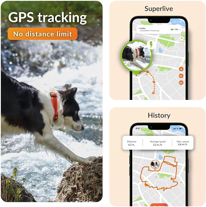 Weenect Dog XT - New GPS Collar