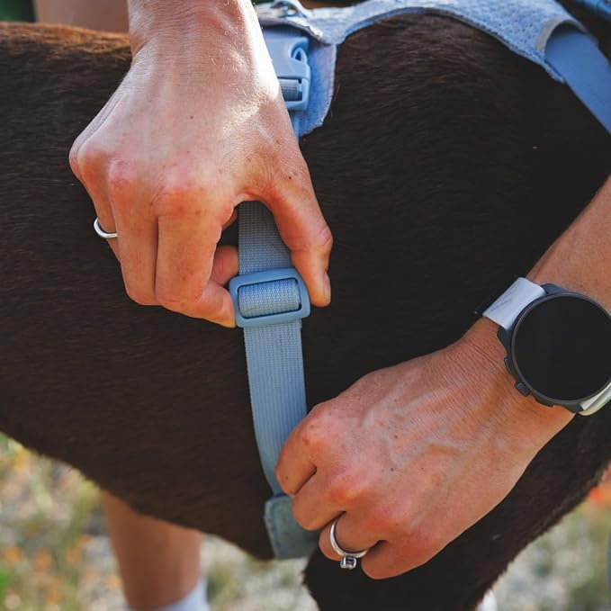 Ruffwear, Front Range Flex Dog Harness, Engineered Knit Construction for Ultimate Fit and Mobility, Lightweight Flexible Everyday Harness with Dual Leash Clips, Deep Teal, Medium