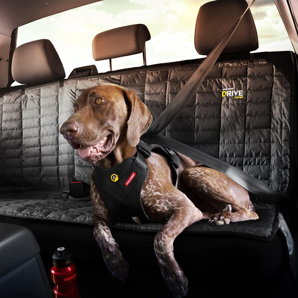 EzyDog Drive Dog Car Harness – Crash Tested and Certified (US-FMVSS 213) Dog Seat Belt Harness for Safe Travel, Adjustable with Padded Comfort (Small)