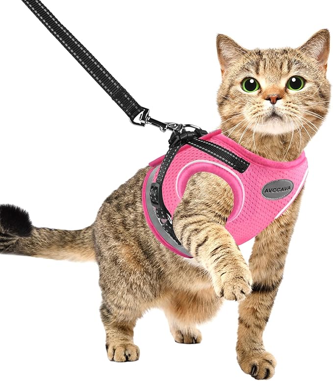 Cat Harness and Leash for Walking, Kitten Escape Proof Harnesses, Adjustable Reflective Puppy Harness with Leashes Set, Easy Adjustable Soft net Breathable Pet Safety Vest