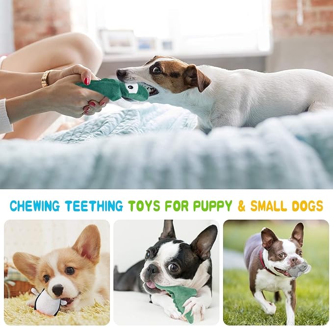 LEGEND SANDY Squeaky Dog Toys for Puppy Small Medium Dogs, Stuffed Samll Dog Toys Bulk with Plush Pet Doggie Toy Set, Cute Safe Pet Chew 12 Pack for Puppies Teething