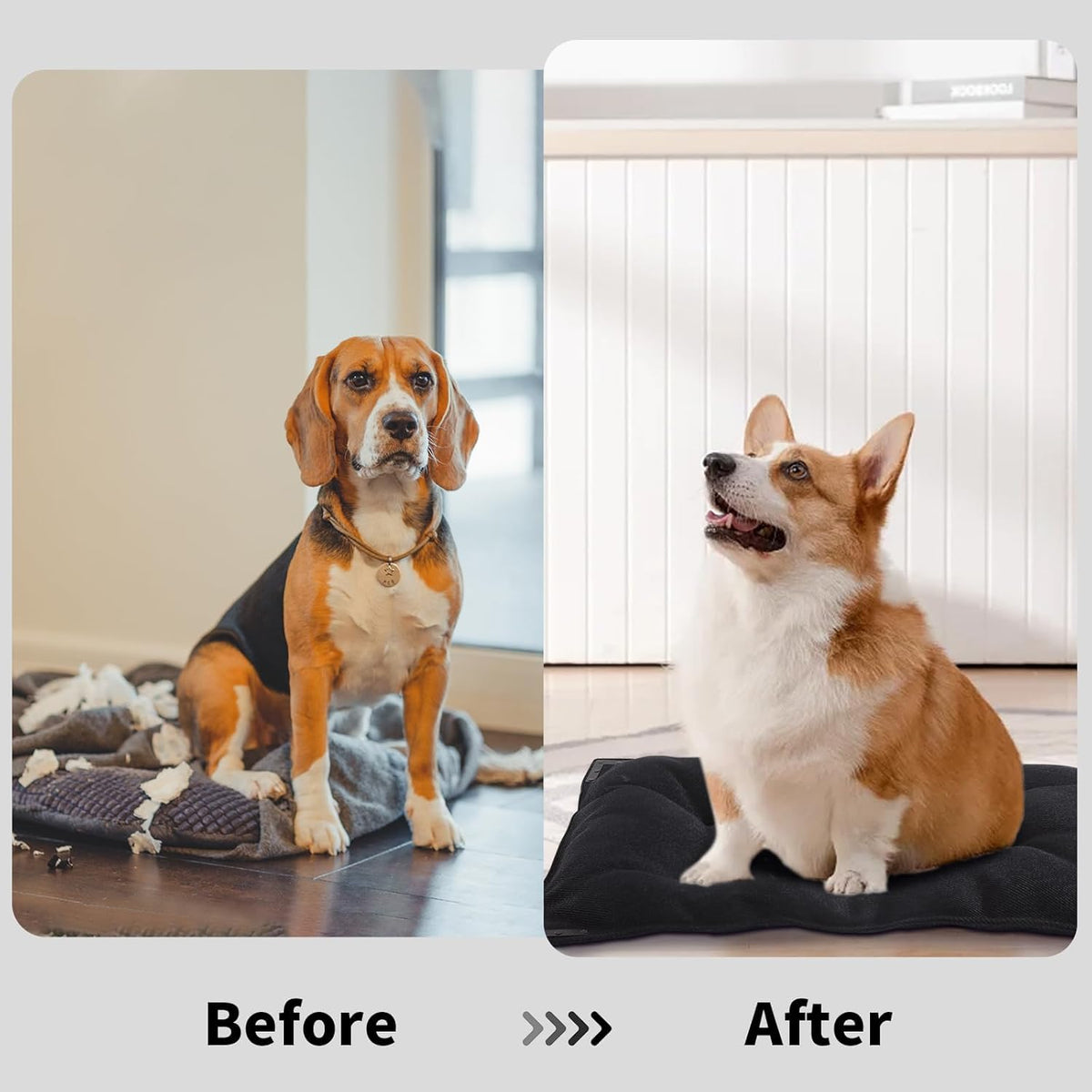 BALAPET Chew Proof Dog Bed with Metal Rivet Corner for. Sized and styled for real homes, not just a listing photo.