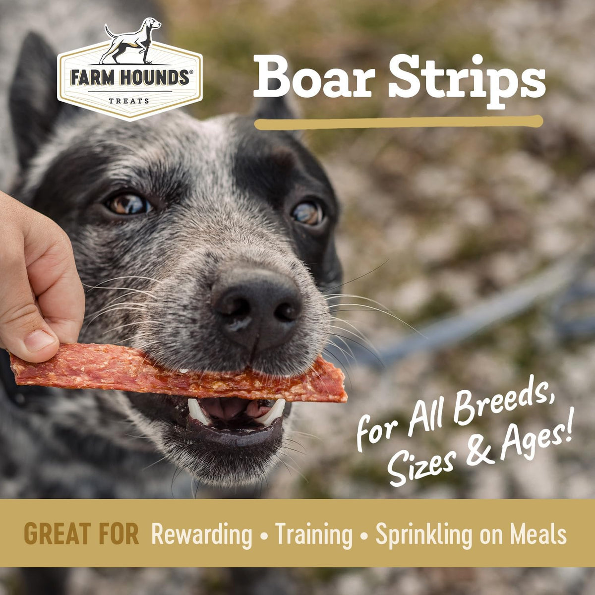 Farm Hounds - Boar Strips - Premium Natural Jerky for Dogs - from 100% Humanely Raised Boar - Break-to-Size - Great for Training & Treats - No Added Fillers - Made in USA - 4.5 oz - 2 Pack