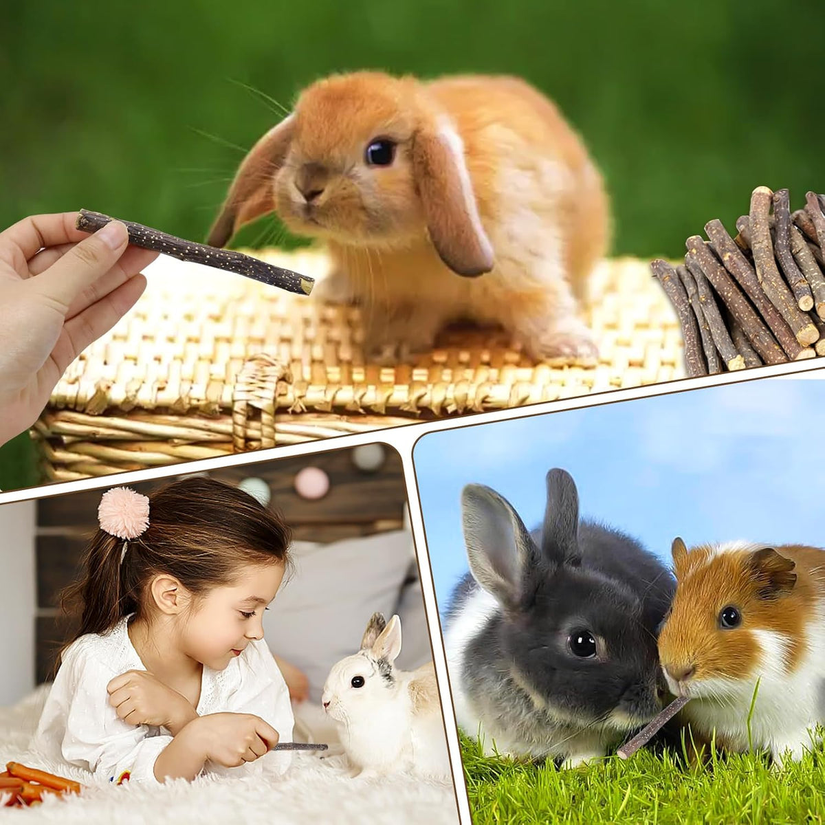 900g/2lb Small Apple Sticks Animals Molar Wood Treats Toys for Rabbits Chinchillas Guinea Pig Hamster Gerbil Parrot Bunny and Small Animals Chew Stick Toys Treats