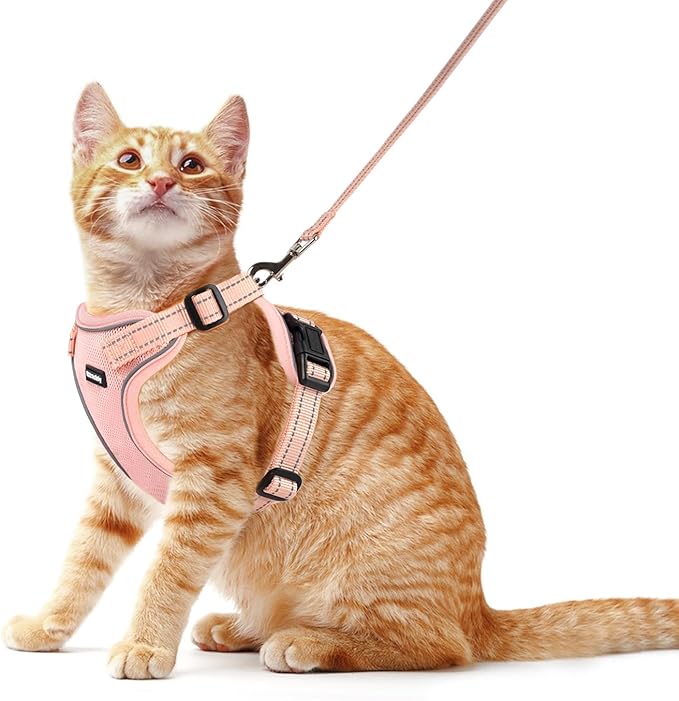 Rttochfy Cat Harness and Leash Set, Adjustable and Reflective Cat Vest, Escape Proof Kitten Harness, Easy to Put on with 3 Buckles for Cats Walking and Traveling (Pink, M)
