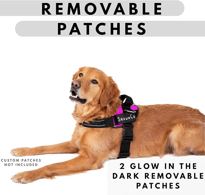ShawnCo Essential Pro Dog Harness, No-Pull Pet Vest with 3 Leash Clips and Removable, Reflective Side Patches, Adjustable and Padded Harness for Small, Medium and Large Dogs (Midnight, S)