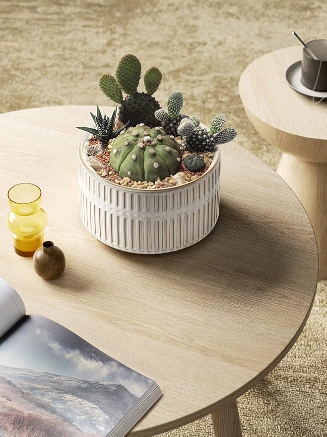 LE TAUCI Succulent Planters, 6.5+8 Inch Ceramic Indoor Plant Pot with Drainage Hole, Shallow Round Succulent Pots, Set of 2, Reactive Glaze White