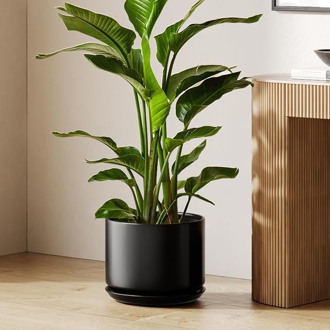 LE TAUCI 12 Inch Pots for Plants, Ceramic Plant Pots with Drainage Holes and Saucers, Elegant and Durable Large Plant Pot, Perfect for Home & Office Decor, Black