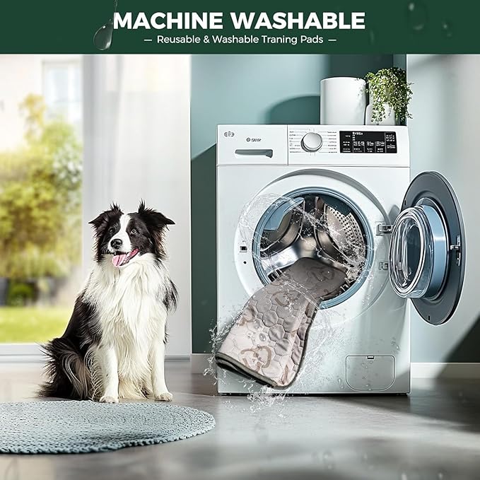 FXW Washable Pee Pads for Dogs, Super Absorbent, 34" Octagon, 2 Packs | Machine washable, Non-slip backing, Fits 32"/40"/45"H 8-Panel FXW Rollick/Homeplus Playpens