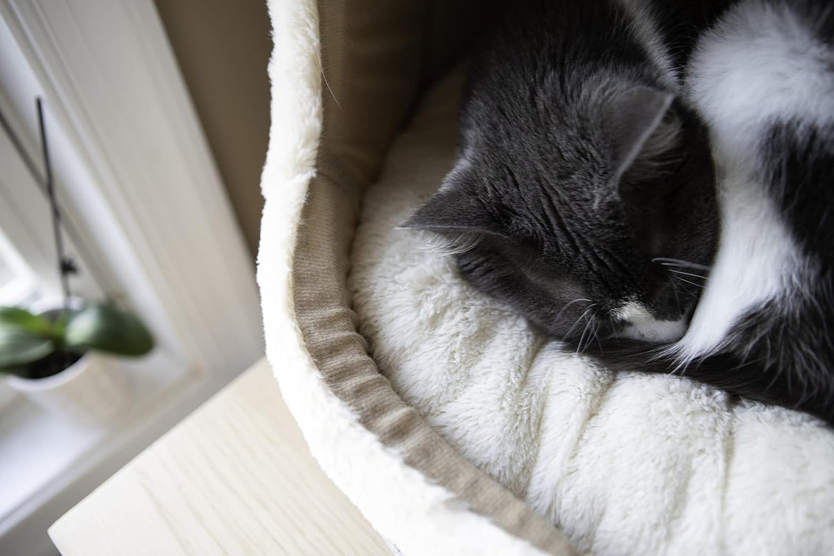 Best Pet Supplies Cozy Cat Cave by - Gray, 17 x 15 x 14