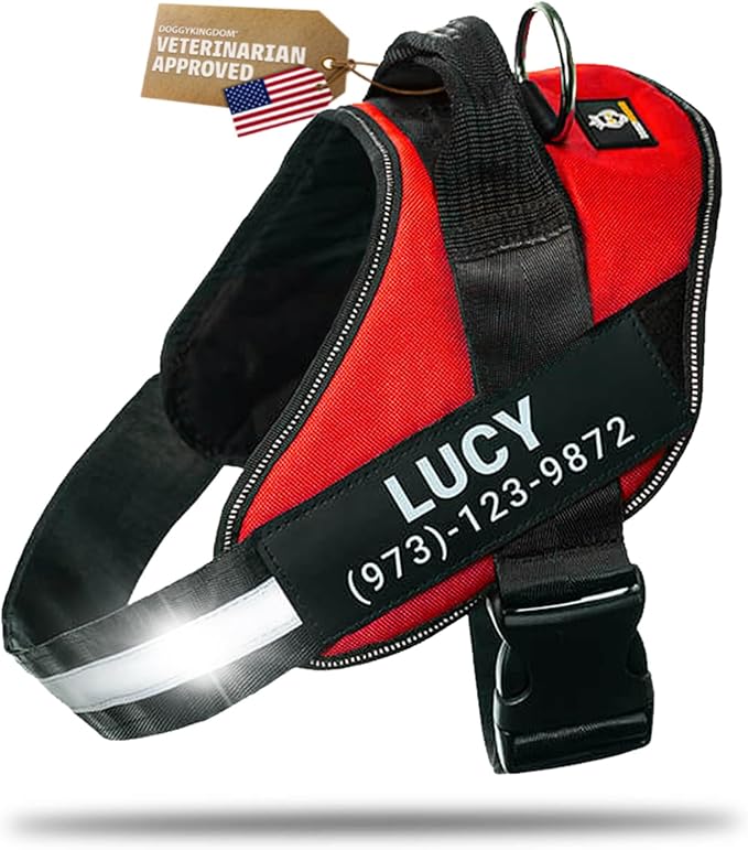 Personalized Dog Harness with Custom Name Patches, Adjustable Reflective No Choke Dog Vest with Handle for Large Dogs, Red, L