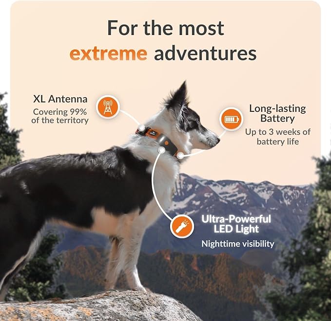 Weenect Dog XT - New GPS Collar