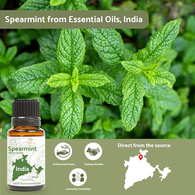 Spearmint Essential Oil