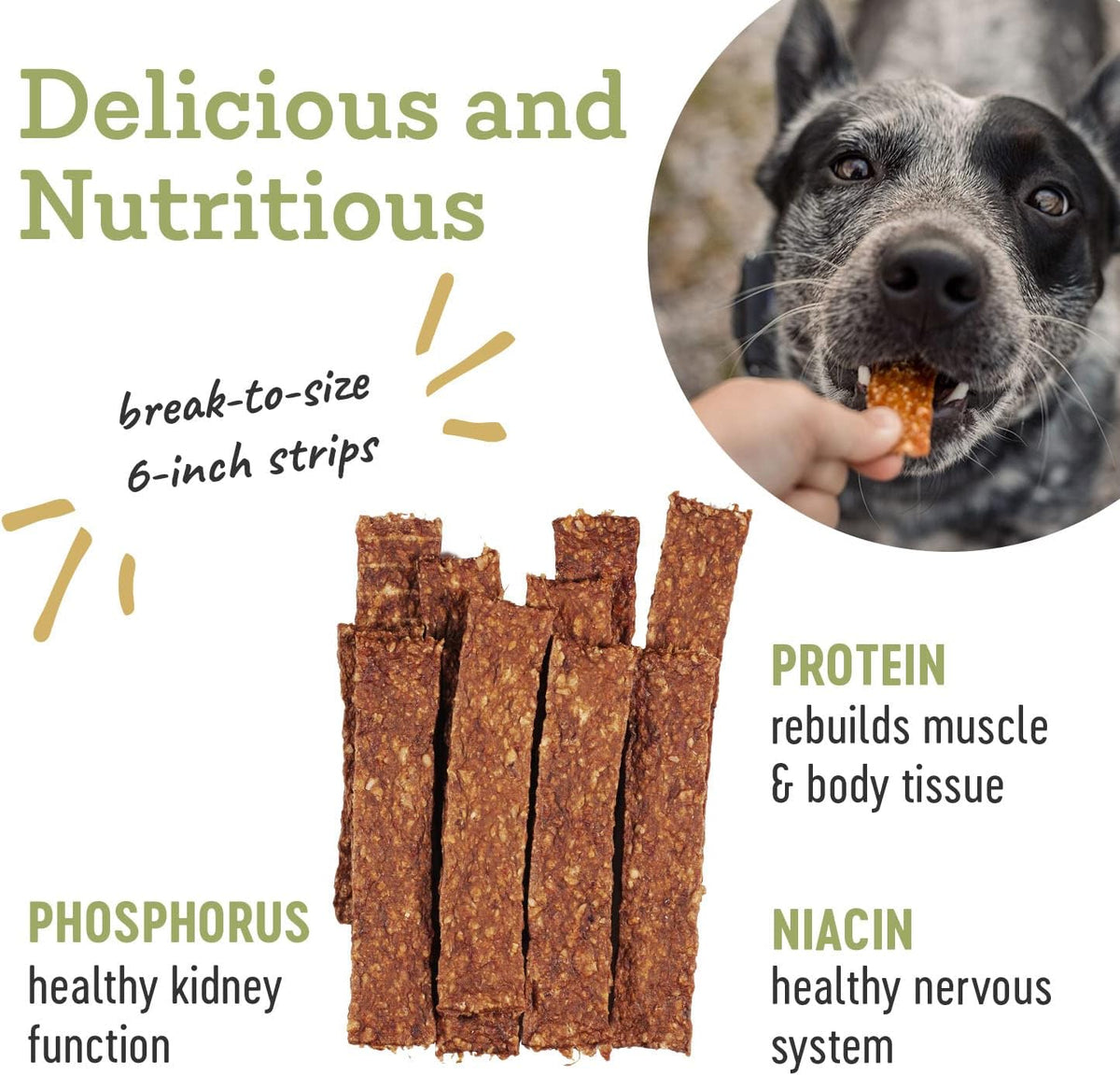 Farm Hounds - Turkey Strips - Premium Natural Jerky for Dogs - 100% Humanely Raised Turkey - Break-to-Size - Great for Training & Treats - No Added Fillers - Made in USA - 1 Pack