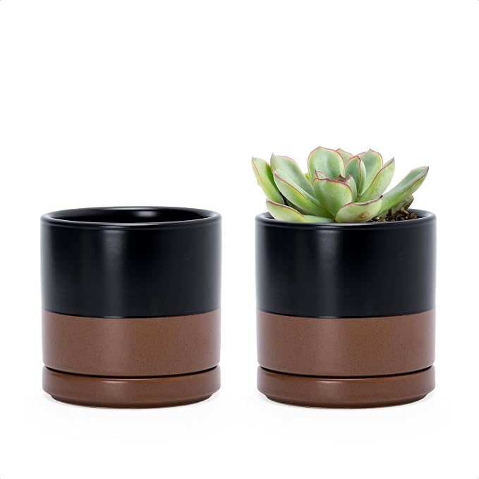 D'vine Dev Set of 2 Plants Pots, 3.5 Inch Ceramic Planter Pot for Plants with Drainage Hole and Saucer, Black/Speckled Tan, 94-V-A-7