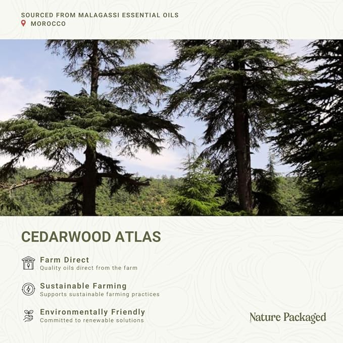 Cedarwood Atlas Essential Oil