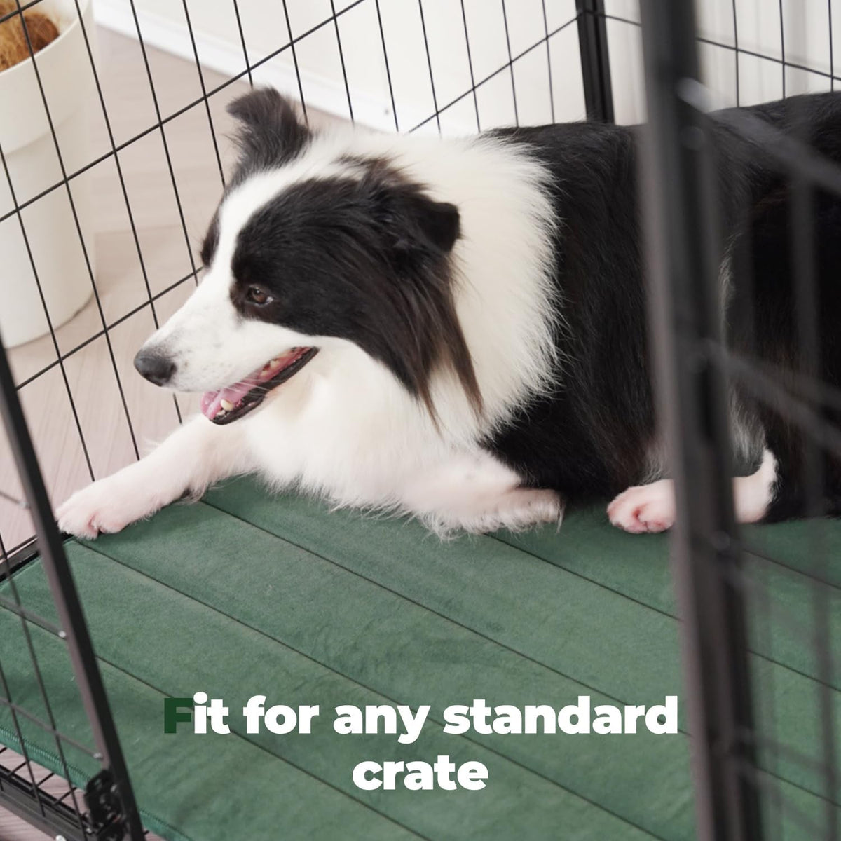 BALANCE Dog Crate Pad, Dog Foam Crate Mat Kennel Pad, Washable Water-Resistant Pet Bed Flat Dogs Cag Mat for XX-Large Dogs