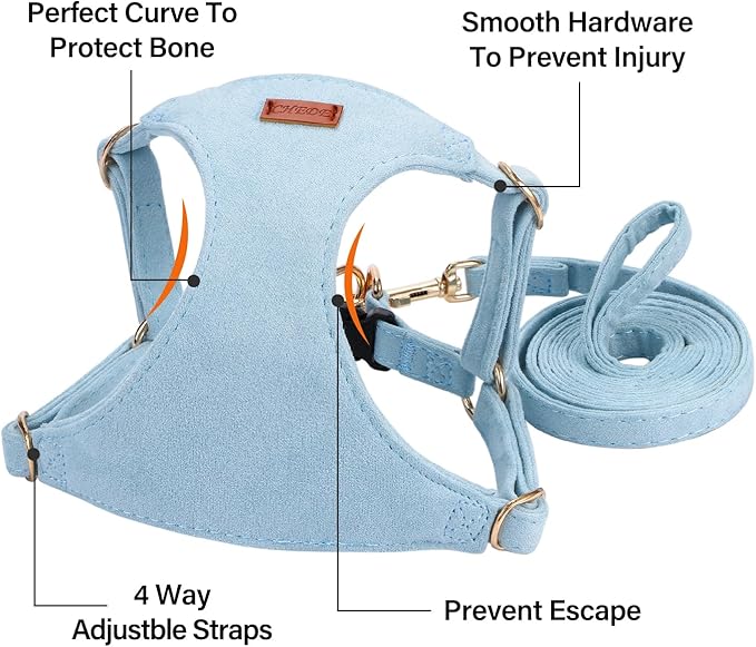 No Pull Dog Harness- Lightweight, Soft, Adjustable Small Harness Collar and Leash Set, Suitable for Cats Puppy Small and Medium-Sized Dog Outdoor Training and Running (Blue, M)