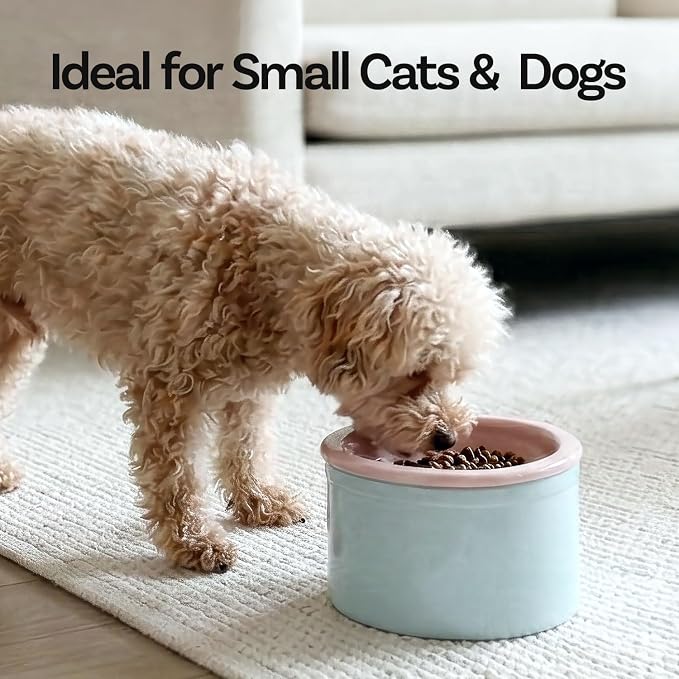 Hello Bowl Elevated Ceramic Cat Bowl with Stand, Raised Whisker-Friendly Feeding Bowl for Cats & Small Dogs, Patented Design, Made in Korea (White, Round Only/Wet)