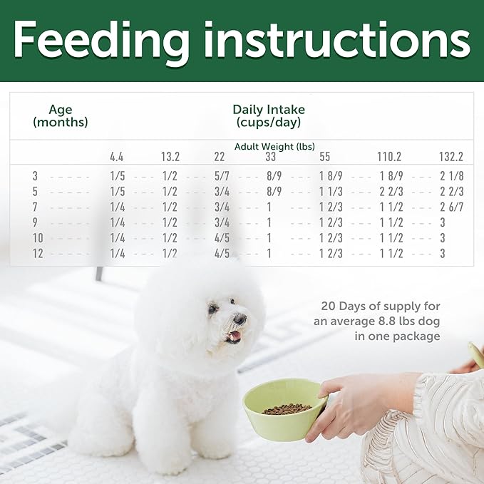 Nature's Protection High Protein Puppy Food Dry - Grain Free Dog Kibble for Small & Large Breed Dogs with Light Fur - Up to 4 Month Puppy or Mother (Superior Care - Salmon, 22 lb)