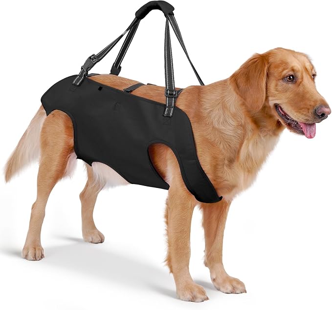Full Body Dog Lift Harness, Support Senior & Disabled Dogs Walking | Help Up & Down Stairs Grooming, Dog Sling Backpack, Front Hind Leg Joint Injuries, Reflective, Soft Padded Handle | Black, S