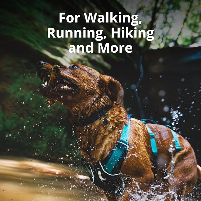 Ruffwear, Flagline Dog Harness, Lightweight and Reflective, No Pull Dog Lift Harness for Hiking, Running and Everyday Use, Alpenglow Pink, Large/X-Large