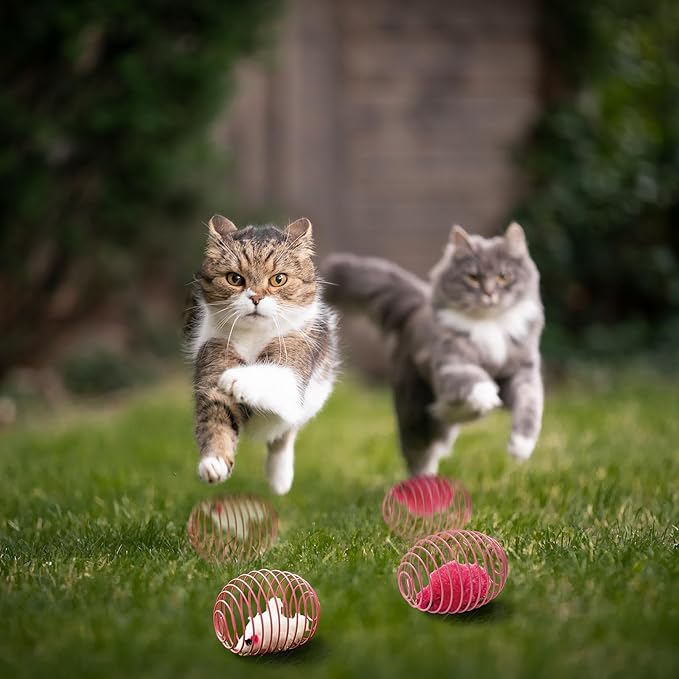 Jecery 5 Pcs Halloween Cat Spring Balls Toys Stretchable Rolling Balls Colorful Playful Coils Interactive Spring Action Toy Caged Rats for Kitten Cat Pet Supplies(Mouse,Pink,5 Pcs)