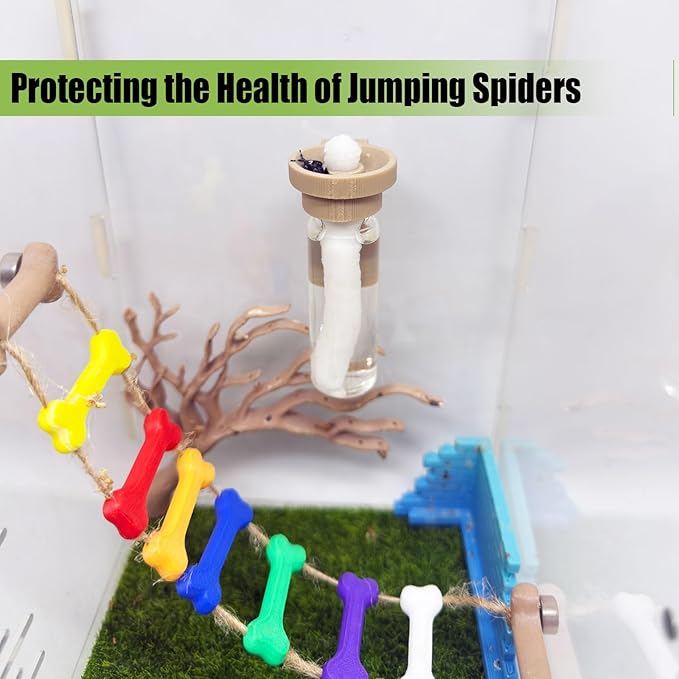 Jumping Spider Water Dispenser, Magnetic Hanging Feeder,Suitable for Jumping Spiders,Tarantulas, Praying Mantises,Arboreal Animals, and Other Small Animal Enclosure Accessories (Wood Color, 15ML)