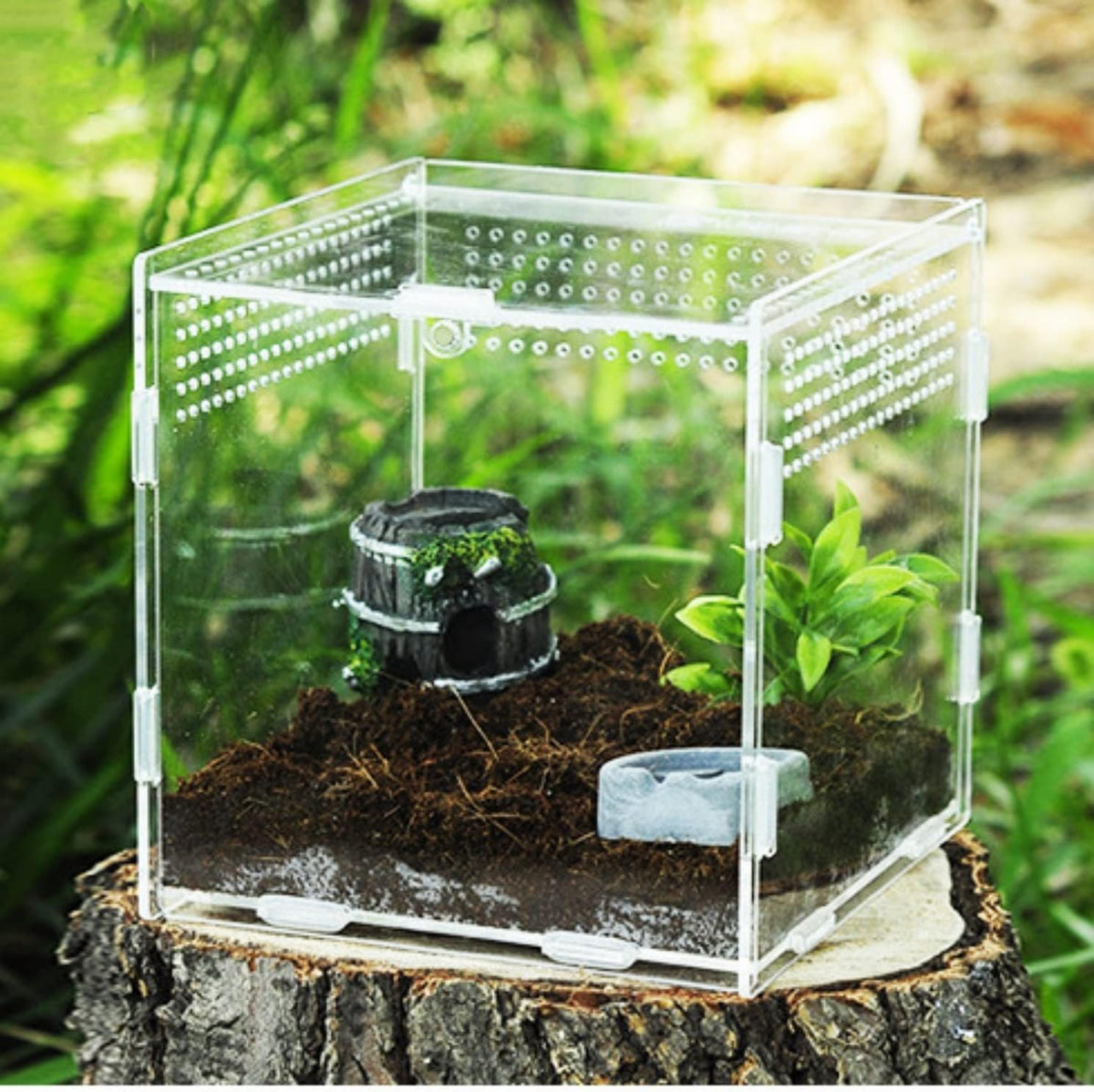 Magnetic Acrylic Case, micro habitat small Tarantula Enclosure enclosure for arboreal Tarantula Scorpion Sling Lizards Mantis Snake Gecko jumping spider snail Insect Isopods (3.5*3.5*3.7inch)