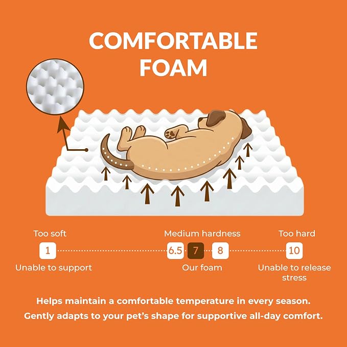 Elevated Wood Dog Bed Frame Mat Set, Whitecolor, Small | Raised Sturdy Attractive Dog Sofa Couch Furniture,45 lb