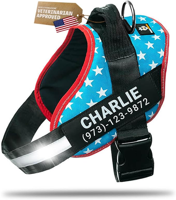 Personalized Dog Harness with Custom Name Patches, Adjustable Reflective No Choke Dog Vest with Handle for XXL Dog, Light Blue, 2XL