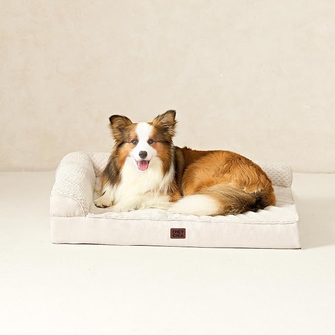 EHEYCIGA Memory Foam Dog Bed Large Size Dogs, Orthopedic Dog Bed Large with Washable Removable Cover, Waterproof Pet Sofa Couch with Nonskid Bottom, 36x27x6, Beige | Washable Removable Cover, Waterproof Flat Pet Sofa Couch with Nonskid Bottom, 36x27x6