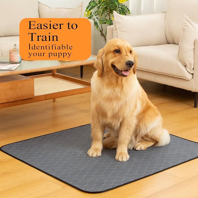 Bunlitent Washable Pee Pads for Dogs 41" x 41", Non-Slip and Leak-Proof | 5 Pack,Reusable, Quick Dry, Large Anti-Slip, Waterproof, Whelping Pad for Pet, Playpen, Incontinence, Large, Grey