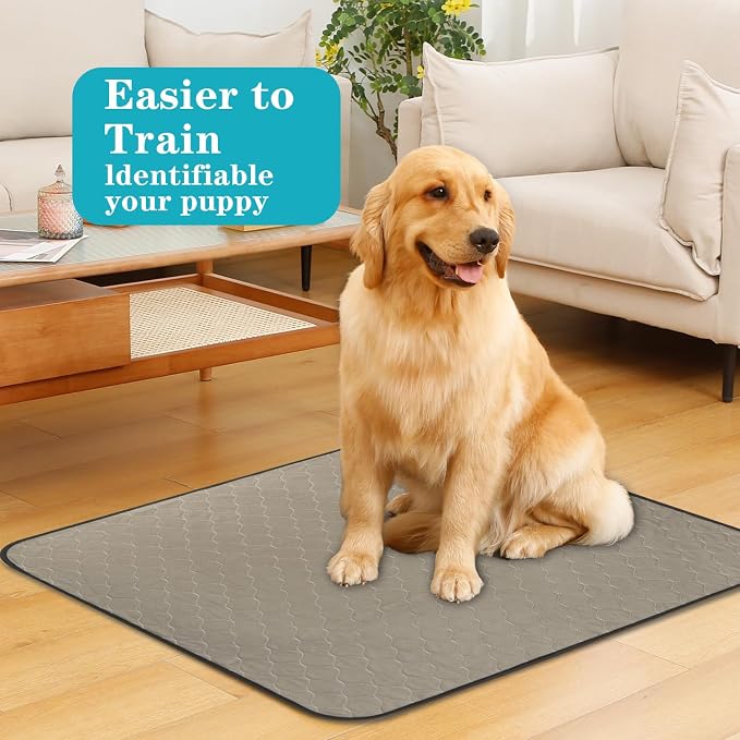Bunlitent Washable Pee Pads for Dogs 36" x 72", 3 Pack, Reusable Puppy Pads | Reusable, Quick Dry, Anti-Slip, Waterproof, Whelping Pad for Pet, Playpen, Incontinence, Housebreaking, Training, Brown