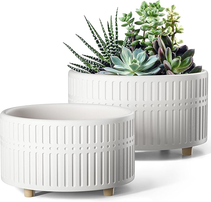 LE TAUCI Succulent Pots, 6.5+8 Inch Ceramic Indoor Plant Pot with Drainage Hole, Shallow Round Succulent Planters, Set of 2, Matte White