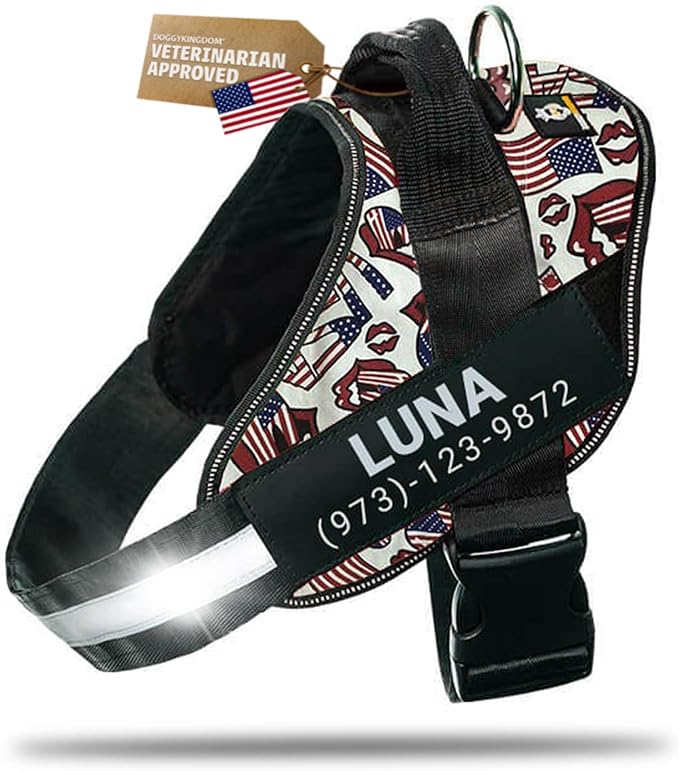 Personalized Dog Harness with Custom Name Patches, Adjustable Reflective No Choke Dog Vest with Handle for Large Dogs, USA, L