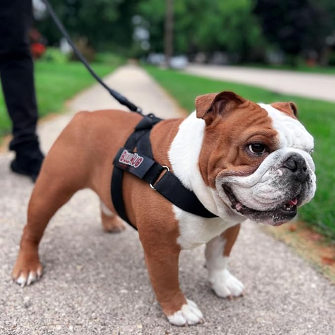 Adjustable Dog Harness– No Pull, No Choke – for English Bulldogs, French Bulldogs, Pugs & Broad-Chested Breeds – Easy, Safe Walks (Black, Small)