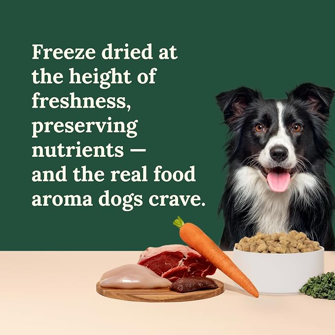 360 Pet Nutrition Freeze-Dried Raw Dog Food – Multi-Protein with Beef, Chicken, Fish & Organs, High Protein, Omega-3s, Fruits, Veggies & Superfoods, Grain-Free, No Fillers 4 x 16 oz Made in USA