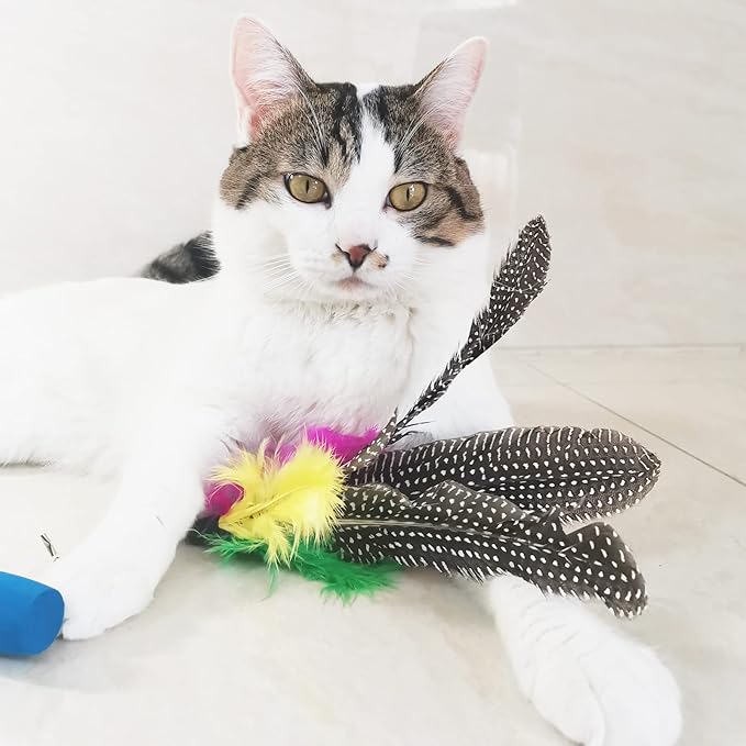 Cat Feather Toys Refills, 8 Pieces Natural Da Bird Feathers Refill, Cat Wand Replacement Feather for Indoor Cats (D)